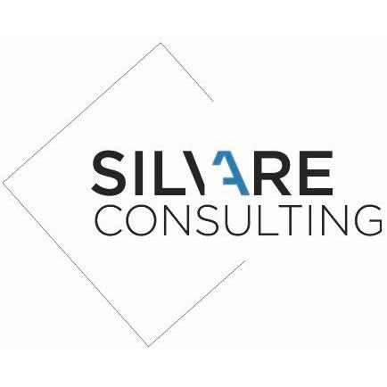 Logo of SILVARE Consulting L.P.