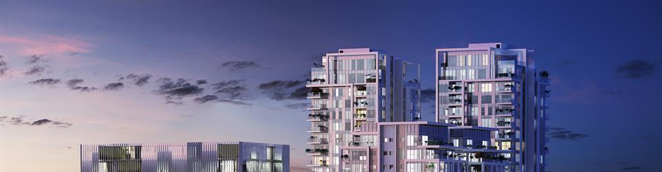 Cover of Skyline Facades